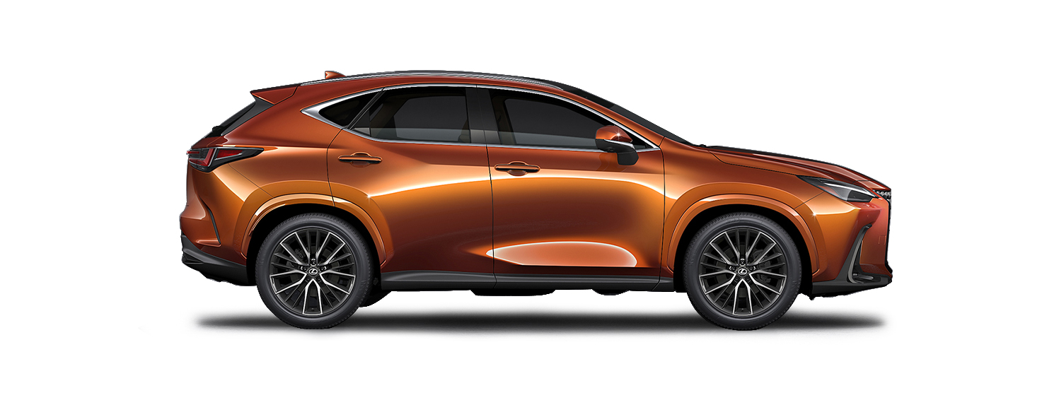 NX Blazing Carnelian 