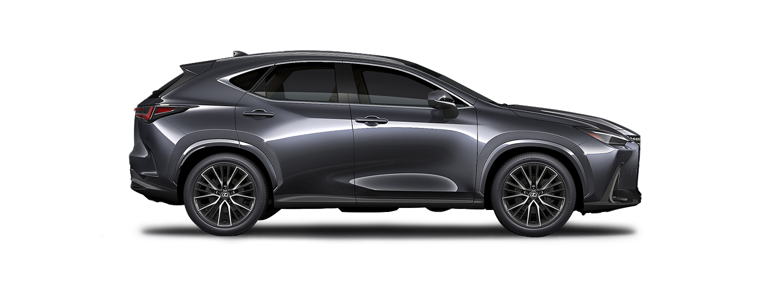 NX Sonic Chrome