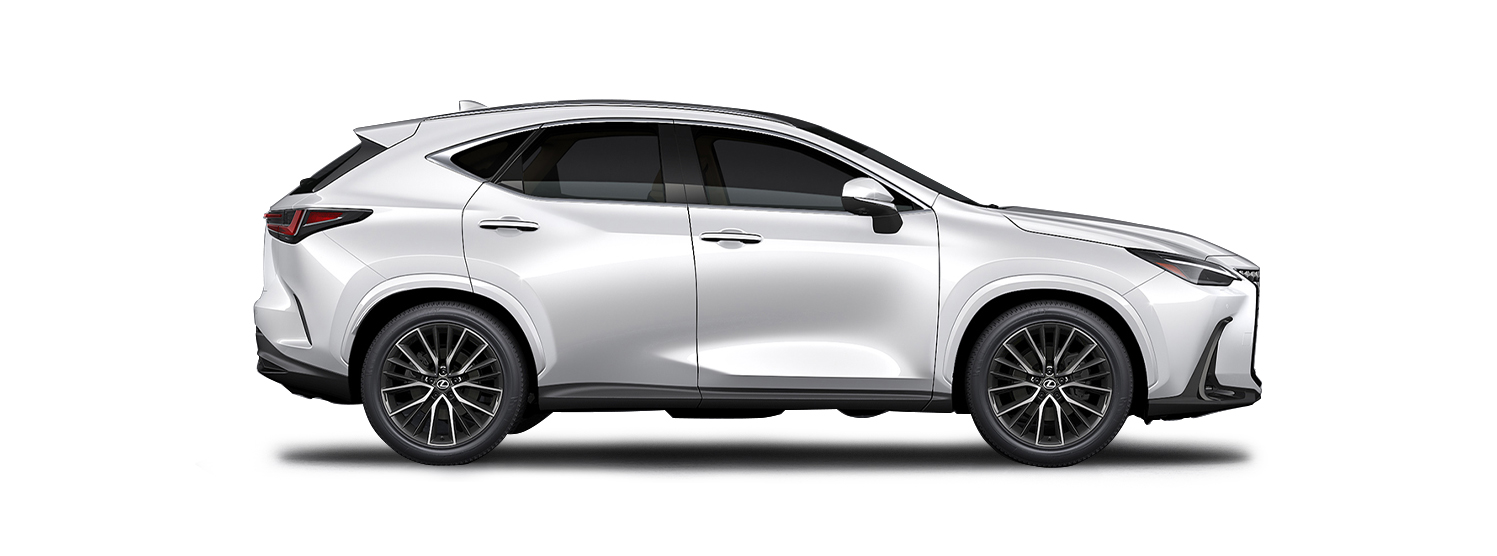 NX Sonic Quartz
